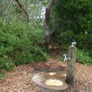 Waterbowl 3 - North of Ricketts Point barbecue