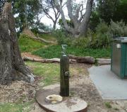 North of Ricketts Point Teahouse at barbecue