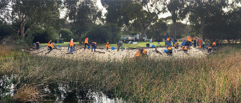 Hop Along Help Our Frogs planting day 2023 Hop Along Help Our Frogs planting day 2023
