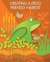 Creating a Frog Friendly Habitat